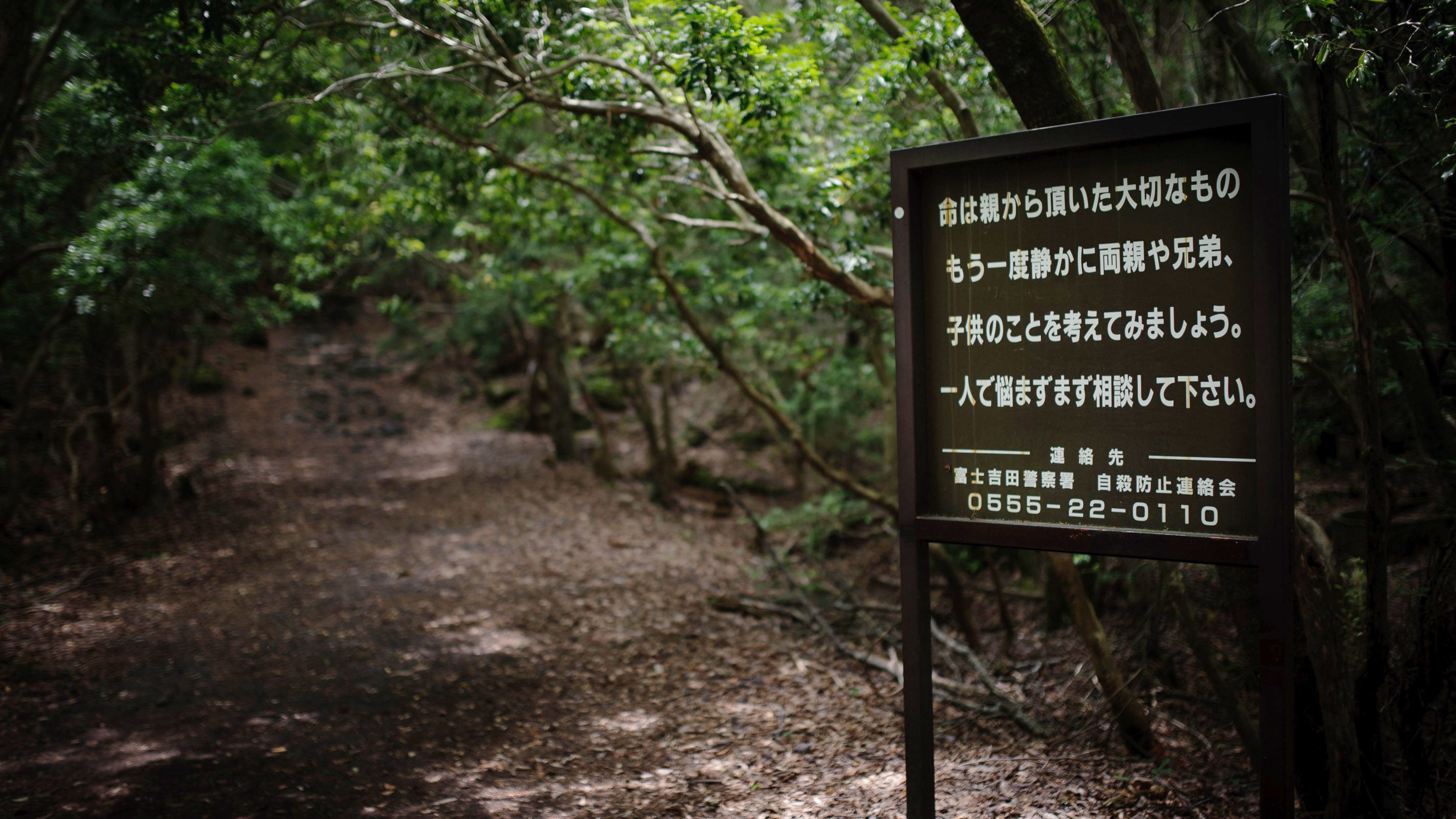 Aokigahara Forest Japan